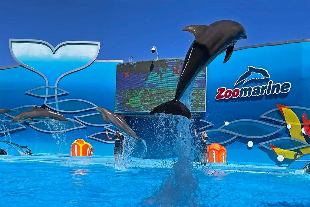 Zoomarine